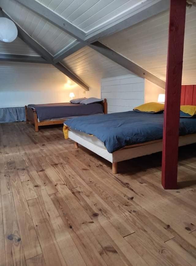 Maison Landaise Chaleureuse Rion-Des-Landes Zewnętrze zdjęcie